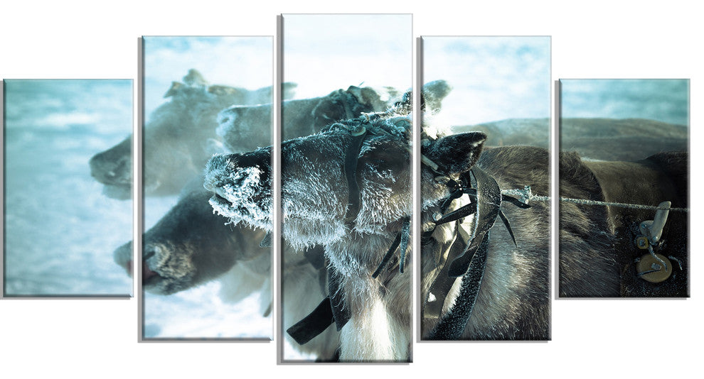 Muzzle Reindeer in Frost, Oversized Animal Wall Art, 60"x32", 5 Panels