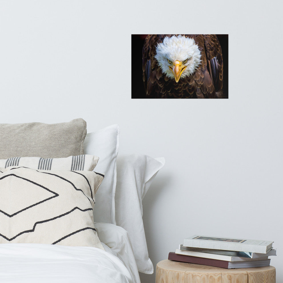 Bald Eagle Portrait Close-up Loose Wall Art Print, 12" X 18"
