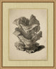 Sepia Sealife 7, Giclee Reproduction Artwork