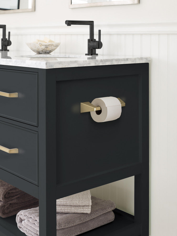 Amerock Blackrock Contemporary Pivoting Double Post Toilet Paper Holder, Golden