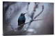"Electrical Blue" Stretched Canvas Giclee by Fabien Bravin, 30"x20"