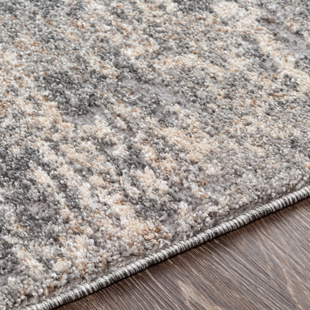 Surya Andorra ARD-2306 5'3" x 7'3" Rug