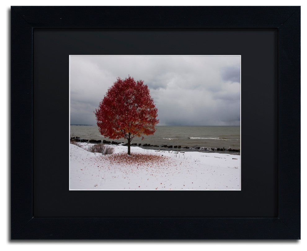 ''Autumn Contrast on the Lake'' Matted Framed Canvas Art by Kurt Shaffer