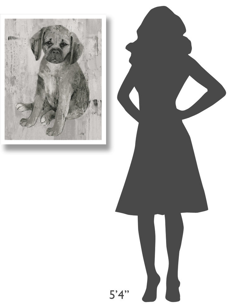 "Paco in Grey Tones" Digital Paper Print by Albena Hristova, 24"x30"