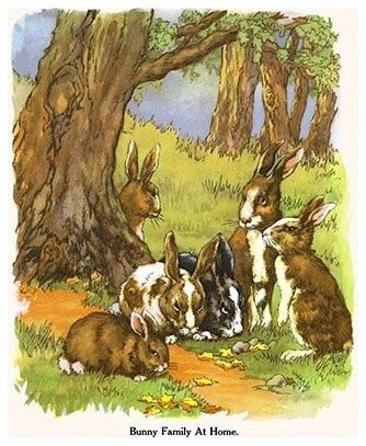 Bunny Family at Home - Gallery Wrapped Canvas Art 28" x 42"