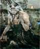 Michael Vrubel Pan, 20"x25" Wall Decal Print