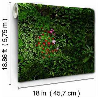 Wildflower Shadows Peel And Stick Wallpaper, Green/Black