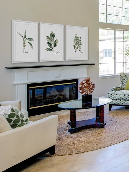 "Herb Trio" Framed Painting Triptych, 36"x18"