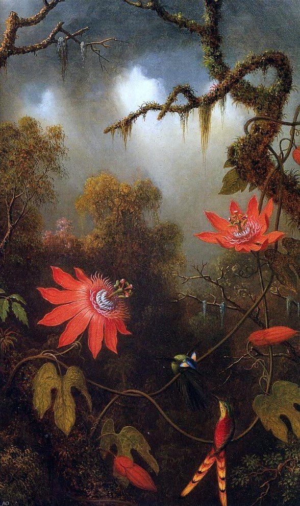 Martin Johnson Heade Two Hummingbirds Perched Wall Decal