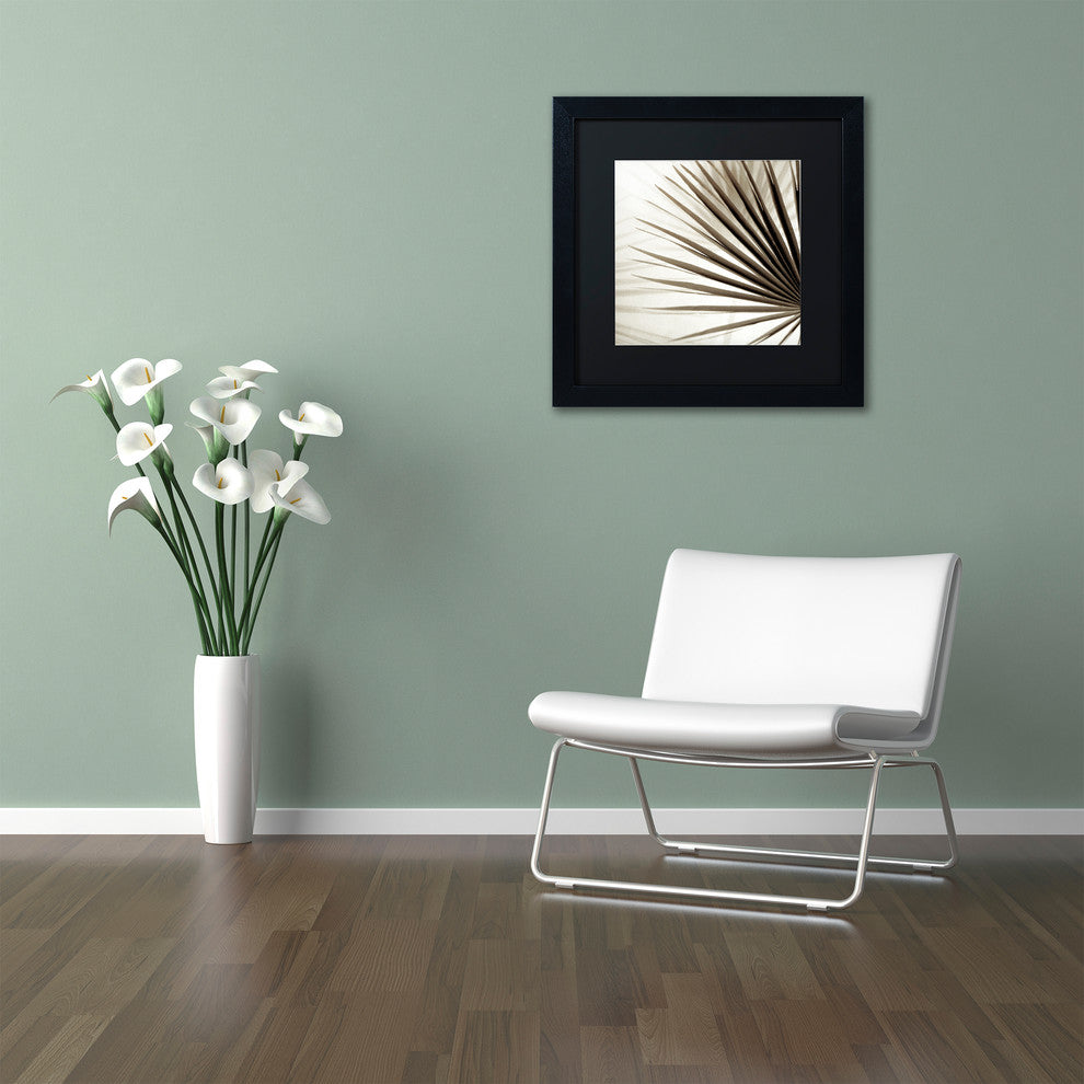 Alan Blaustein ''Florison 66'' Art, Black Frame, Black Mat, 16x16