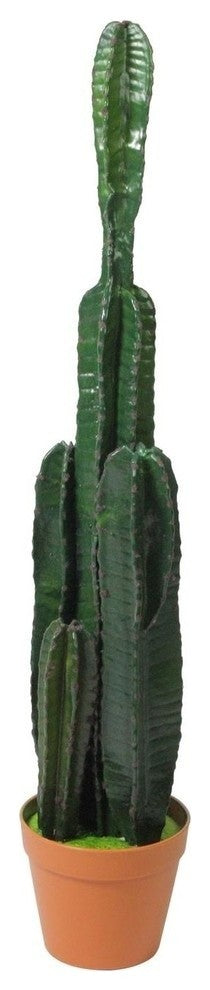 Uniform white background product shot, full cactus in pot; front-facing, no text or diagrams.