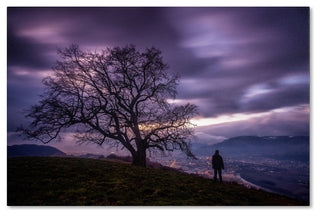 'The Tree of Love Grenoble' Canvas Art by Mathieu Rivrin