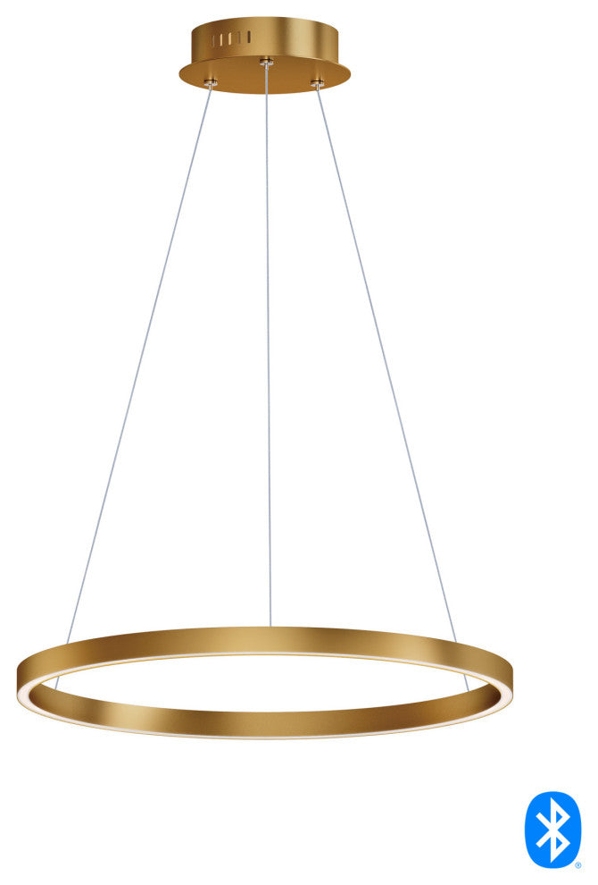 ET2 E22724 Groove 24"W LED Ring Chandelier - Gold