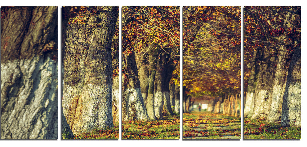Colorful and Serene Autumn Forest, Modern Forest Canvas Art, 60"x28", 5 Panels