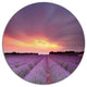 Beautiful Sunset Over Lavender Rows, Landscape Disc Metal Artwork, 11"