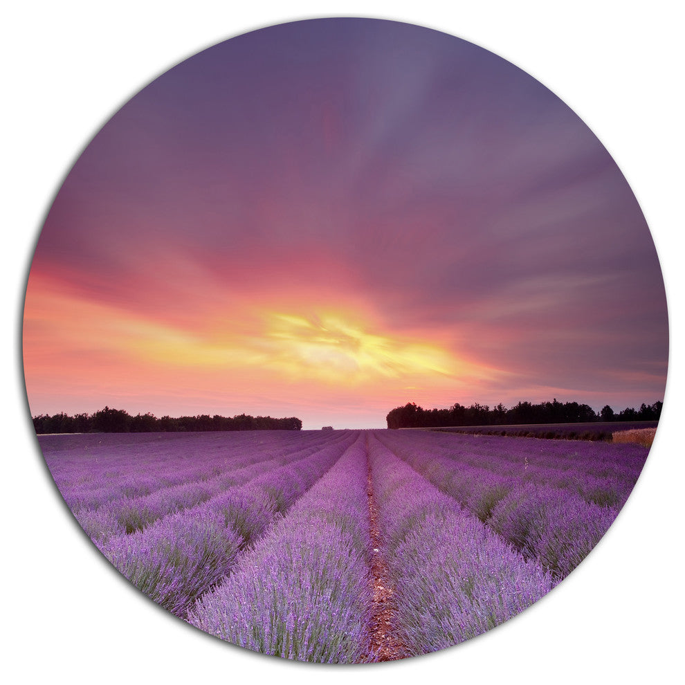Beautiful Sunset Over Lavender Rows, Landscape Disc Metal Artwork, 11"