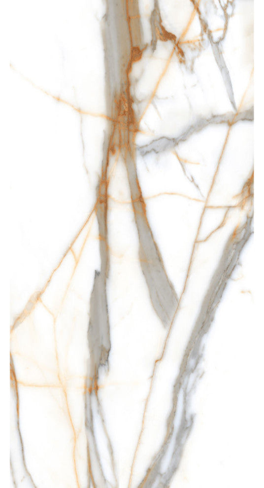 Calacatta Gold Natural Glossy Porcelain Tile, 24x48