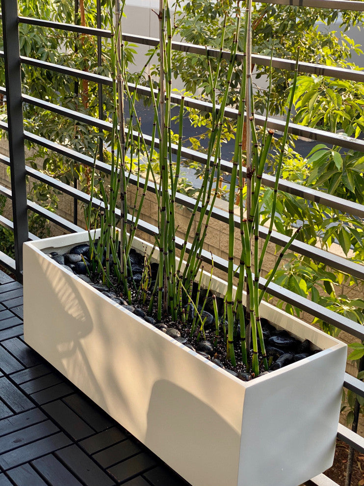 Belmont Rectangle Planter Box, White, 36"x12"x12"