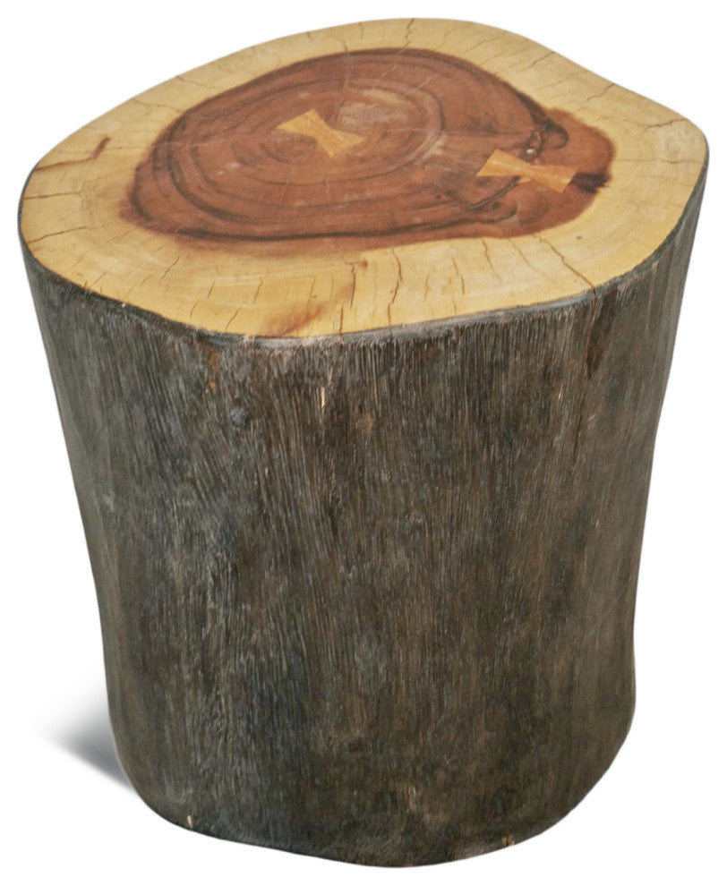 Blackened Stump Side Table