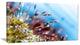 "Abstract Moss Flowers in Summer Spring" Landscape Wall Art, 32"x16"