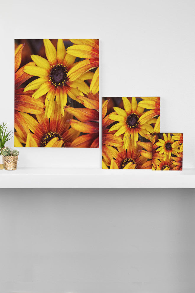 Deny Designs Shannon Clark Sunshine Petals Art Canvas