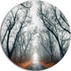 Mystic Road In Forest, Landscape Photo Disc Metal Artwork, 23"