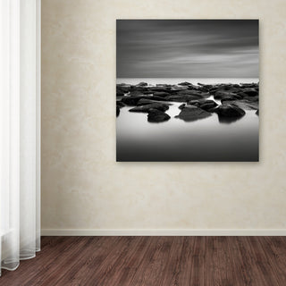 'High Tide' Canvas Art by Dave MacVicar