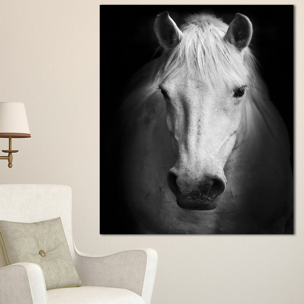 White Horse Black and White, Animal Canvas Art Print, 30"x40"