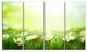 Spring Meadow with Daisies, Large Animal Canvas Art Print, 48"x28", 4 Panels