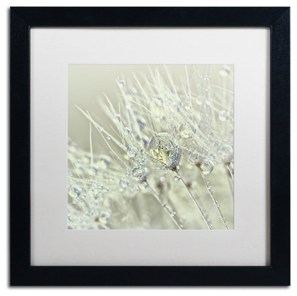 Cora Niele ''Dandelion Dew III'' Matted Framed Art