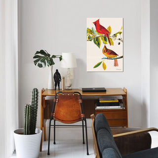"Cardinal" by John James Audubon, Canvas Print, 26"x18"