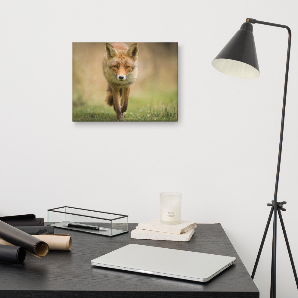 Young Female Red Fox In Forest Animal Wildlife Photograph Canvas Wall Art Print, 12" X 16"