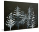 "Trees in Moonlight" Painting Print on Wrapped Canvas, 18x12