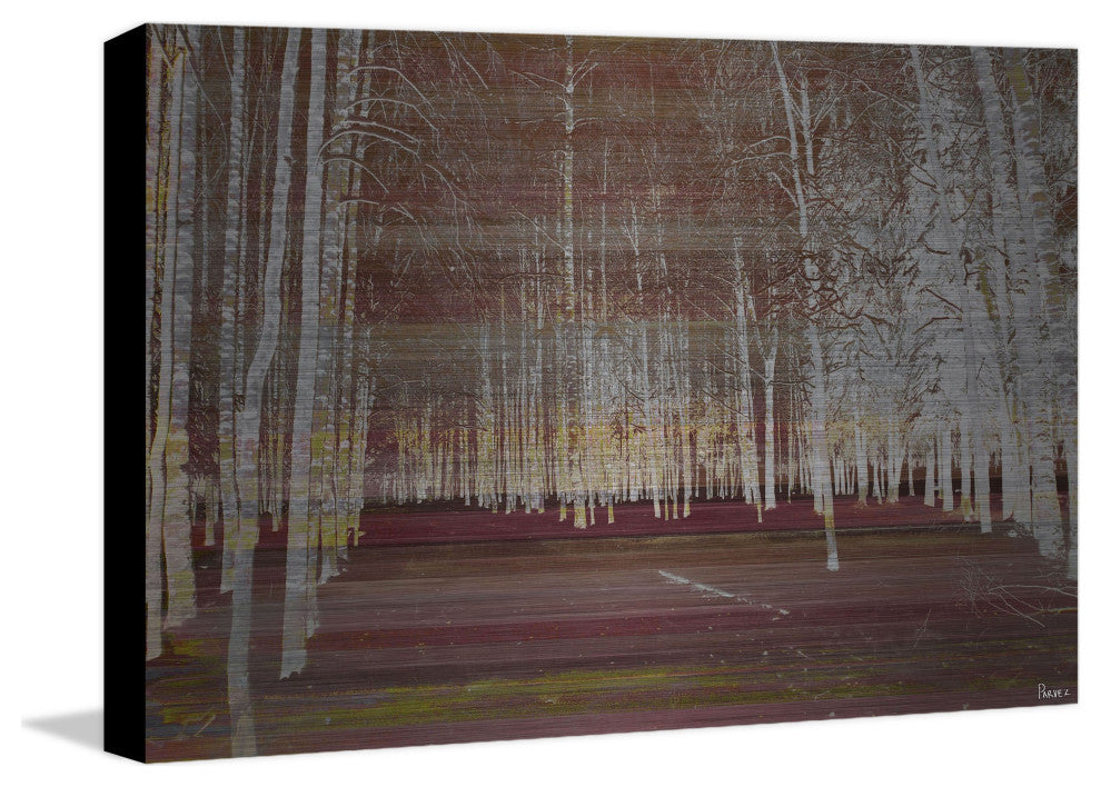 "Night Birch" UV Ink Print on Brushed Aluminum, 60"x40"
