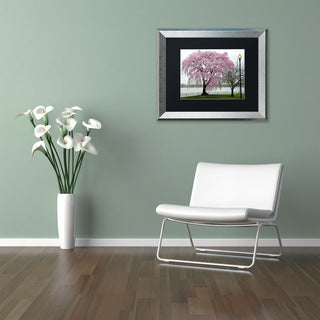CATeyes 'Cherry Tree' Matted Framed Art, 11x14