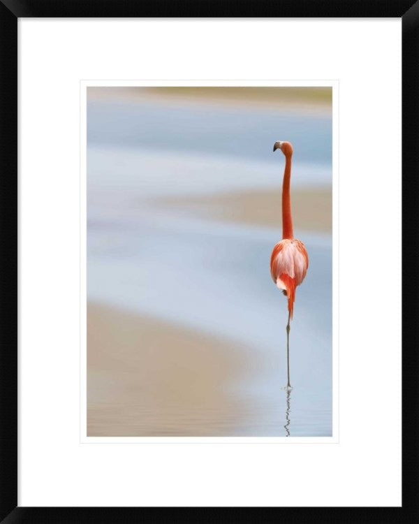 "I" Framed Digital Print by Anna Cseresnjes, 19x24"