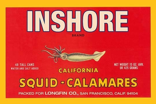 Inshore Brand Squid - Calamares - Gallery Wrapped Canvas Art 28" x 42"