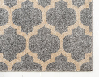 Rug Unique Loom Trellis Light Gray Rectangular 3' 3 x 5' 3