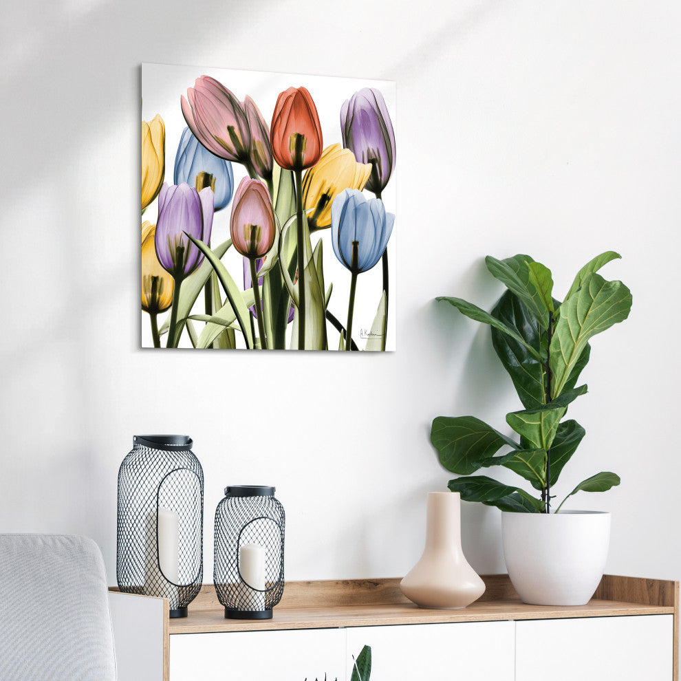 Tulip Scape X-Ray II Flower Wall Art on Frameless Free Floating Tempered Glass