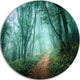 Light Green Mystical Fall Forest, Landscape Disc Metal Artwork, 11"