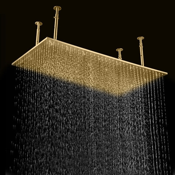 Fontana 20x40" Ceiling Mount Rain Shower Head, Brushed Gold