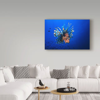 Barathieu Gabriel 'Lionfish' Canvas Art, 19"x12"