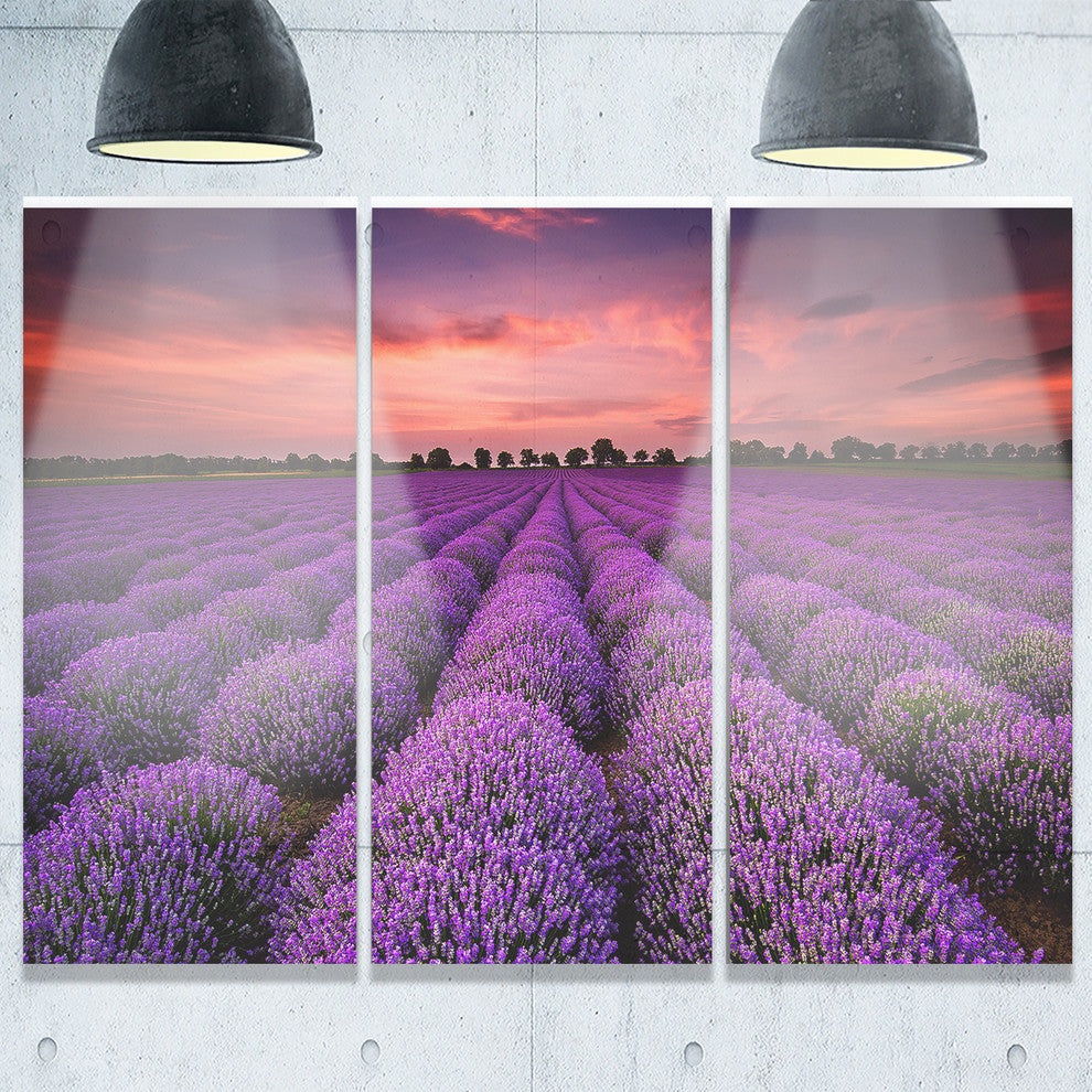 "Red Sunset Over Lavender Field" Metal Wall Landscape, 3 Panels, 36"x28"