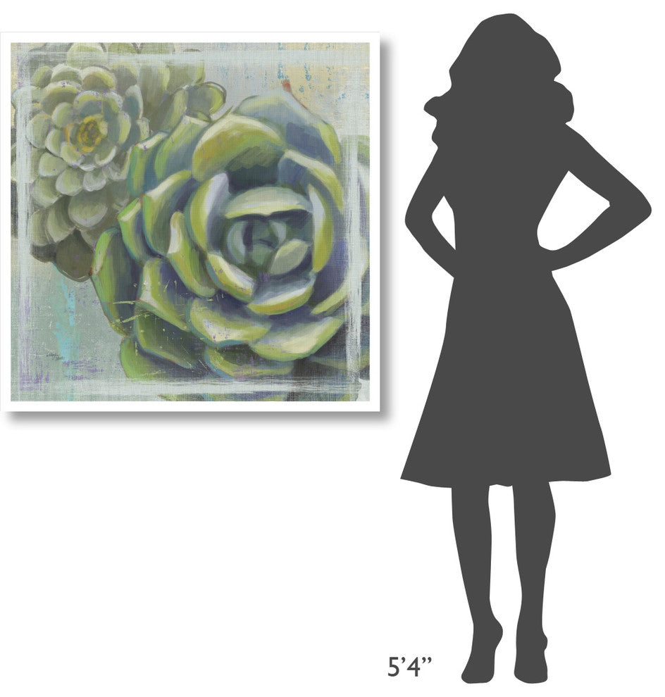 "Succulents II" Digital Paper Print by Wellington Studio, 38"x38"