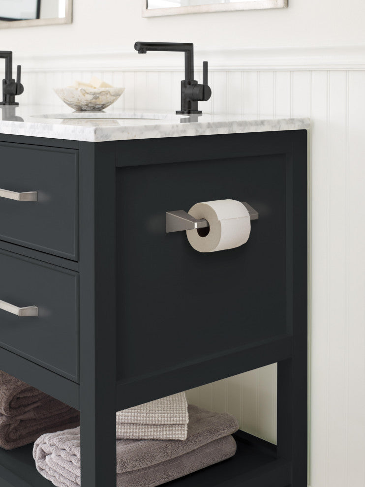Amerock Blackrock Contemporary Pivoting Double Post Toilet Paper Holder, Brushed