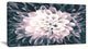 Macro Chrysanthemum Flower, Flowers Canvas Wall Artwork, 32"x16"