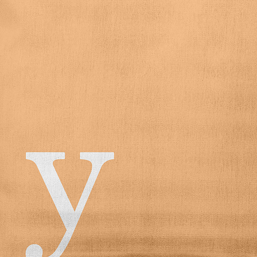 18"x18" Modern Monogram Decorative Throw Pillow, Pale Gold