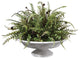 Uttermost Mabry Fern Centerpiece
