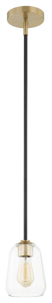 Arcwell 1-Light Pendant