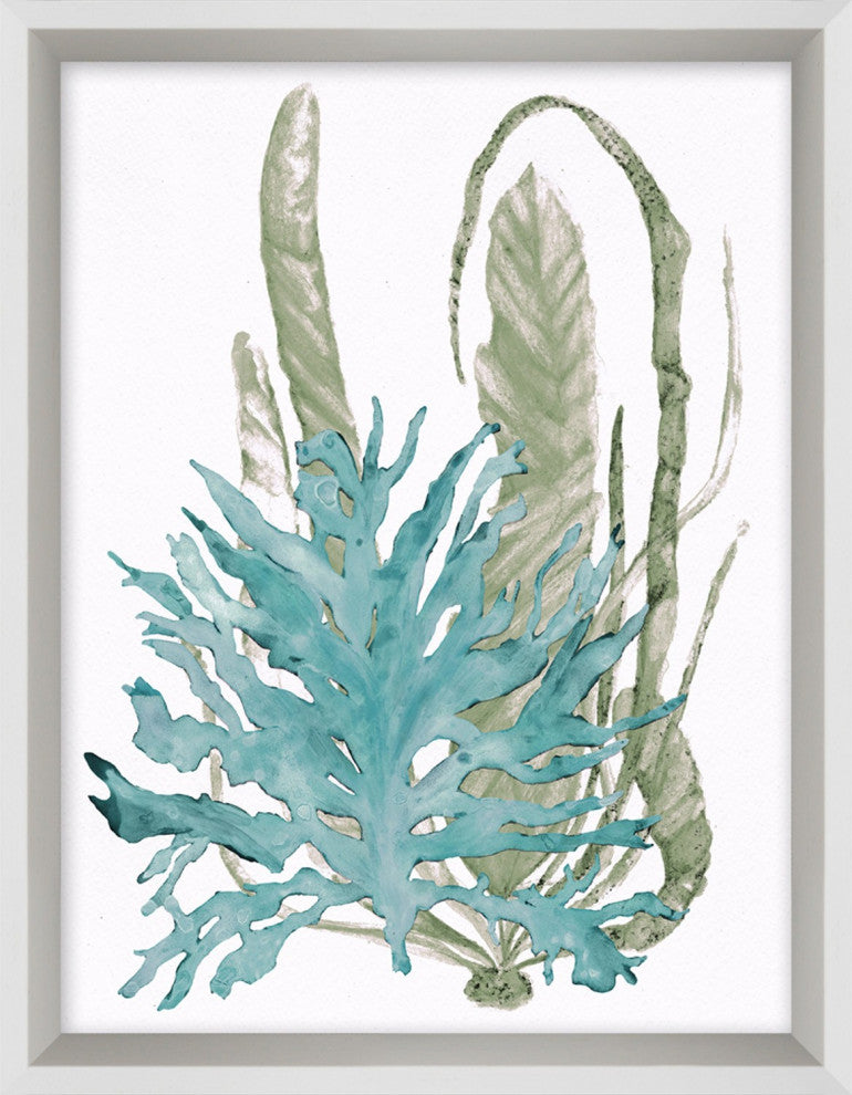 Aquatic Assortment 12, Giclee Reproduction Artwork